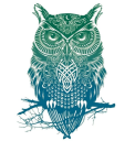 owlinvasion